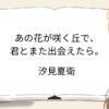 あの花が咲く丘で、君とまた出会えたら。を読んだ感想